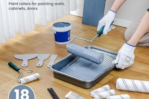 10 Best Paint Tool Kits for Walls and Ceilings Tested