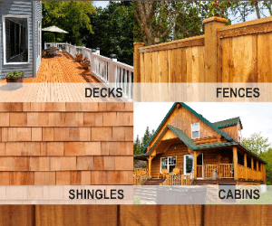 Best Deck Staining Products & Tips 1 best deck staining